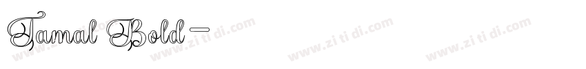 Tamal Bold字体转换